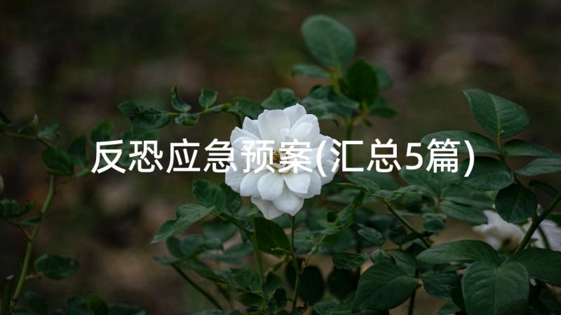 反恐应急预案(汇总5篇)