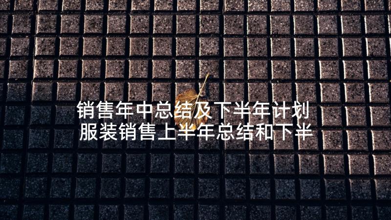 销售年中总结及下半年计划 服装销售上半年总结和下半年计划(大全6篇)