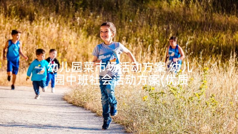 幼儿园菜市场活动方案 幼儿园中班社会活动方案(优质5篇)