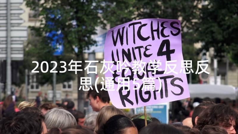 2023年石灰吟教学反思反思(通用5篇)