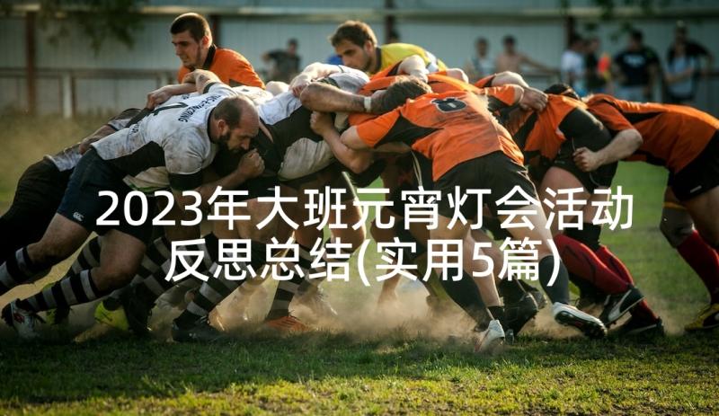 2023年大班元宵灯会活动反思总结(实用5篇)