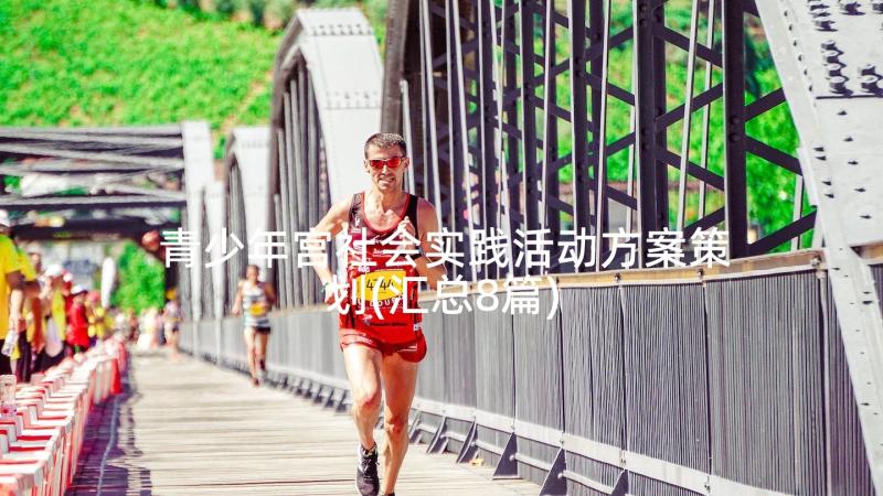 青少年宫社会实践活动方案策划(汇总8篇)