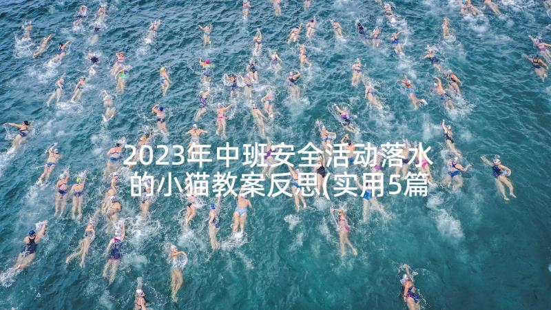 2023年中班安全活动落水的小猫教案反思(实用5篇)