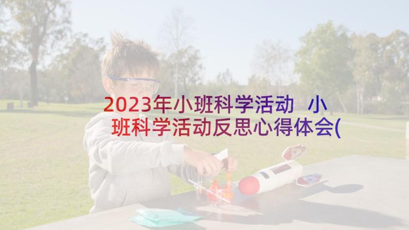 2023年小班科学活动 小班科学活动反思心得体会(精选10篇)