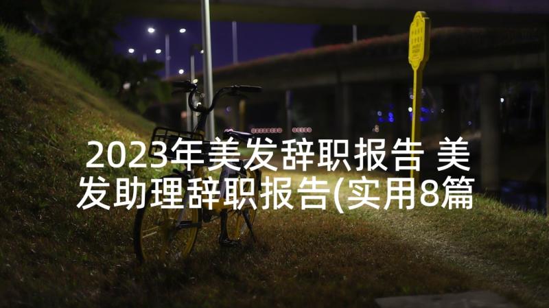 2023年美发辞职报告 美发助理辞职报告(实用8篇)