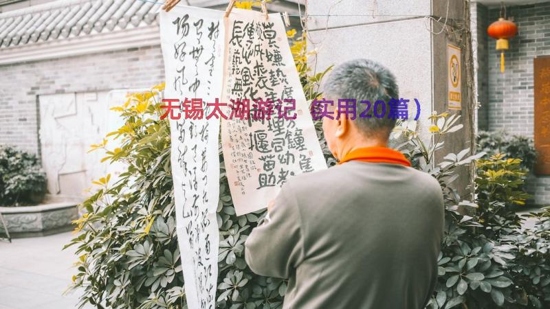 无锡太湖游记（实用20篇）