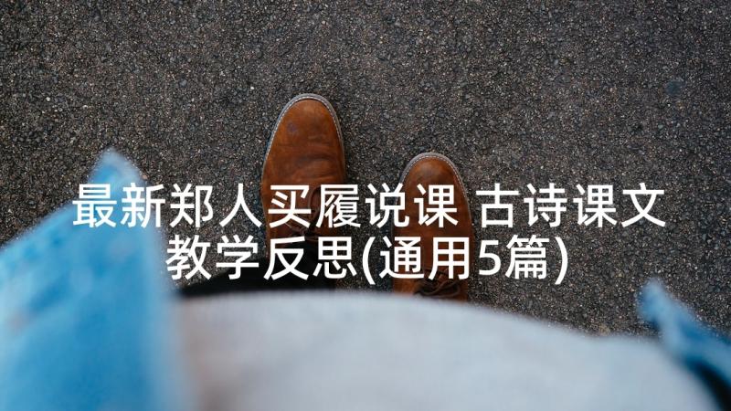 最新郑人买履说课 古诗课文教学反思(通用5篇)