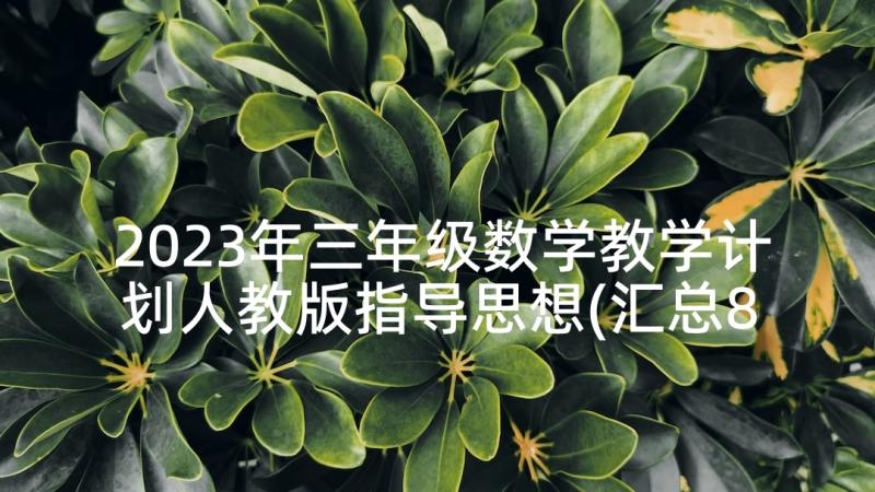 2023年三年级数学教学计划人教版指导思想(汇总8篇)