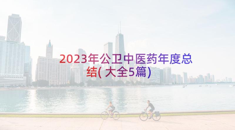 2023年公卫中医药年度总结(大全5篇)