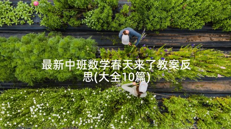 最新中班数学春天来了教案反思(大全10篇)