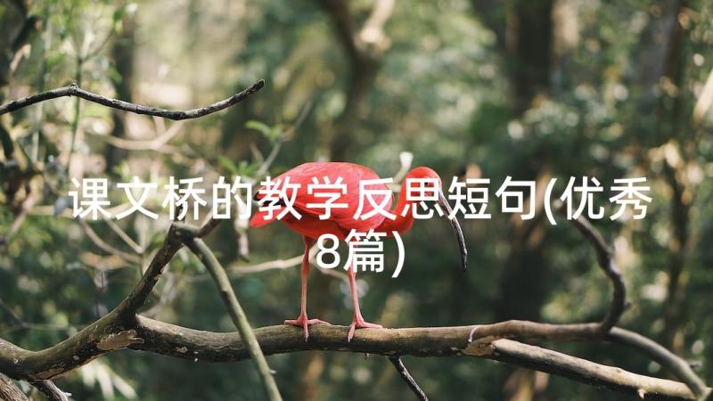 课文桥的教学反思短句(优秀8篇)