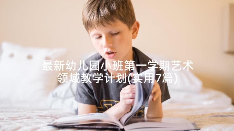 最新幼儿园小班第一学期艺术领域教学计划(实用7篇)