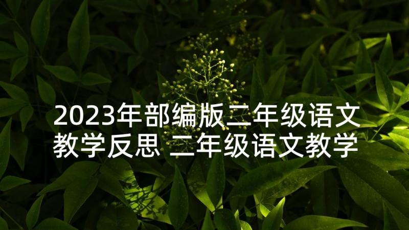 2023年部编版二年级语文教学反思 二年级语文教学反思(汇总9篇)