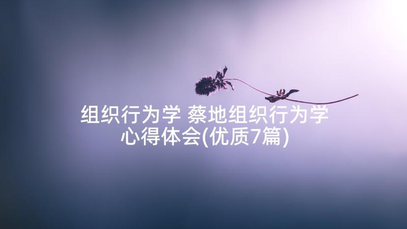 组织行为学 蔡地组织行为学心得体会(优质7篇)