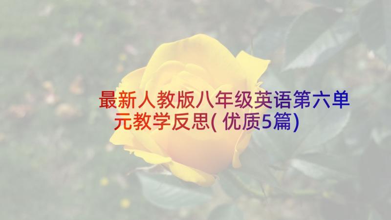 最新人教版八年级英语第六单元教学反思(优质5篇)