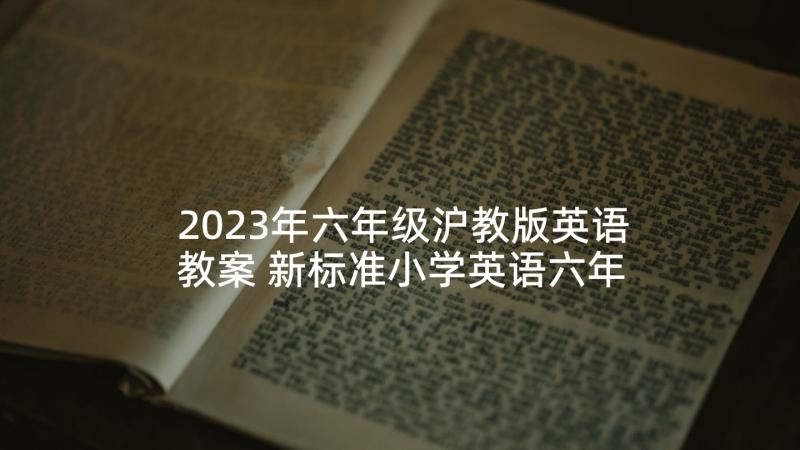 2023年六年级沪教版英语教案 新标准小学英语六年级教学计划(优质7篇)