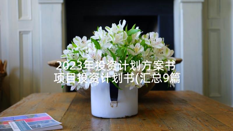 2023年投资计划方案书 项目投资计划书(汇总9篇)