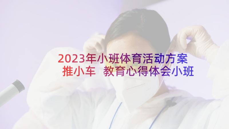 2023年小班体育活动方案推小车 教育心得体会小班户外活动(精选8篇)