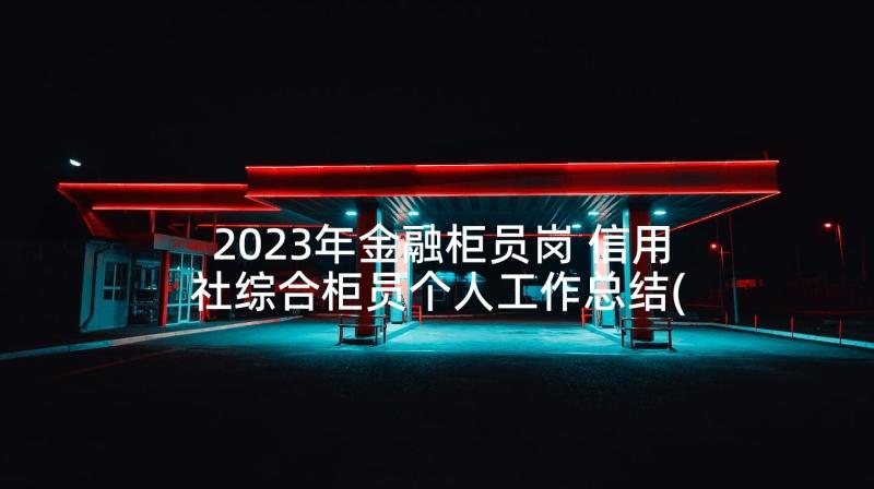 2023年金融柜员岗 信用社综合柜员个人工作总结(大全5篇)