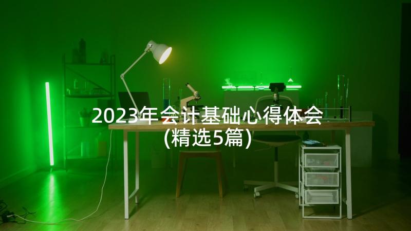 2023年会计基础心得体会(精选5篇)