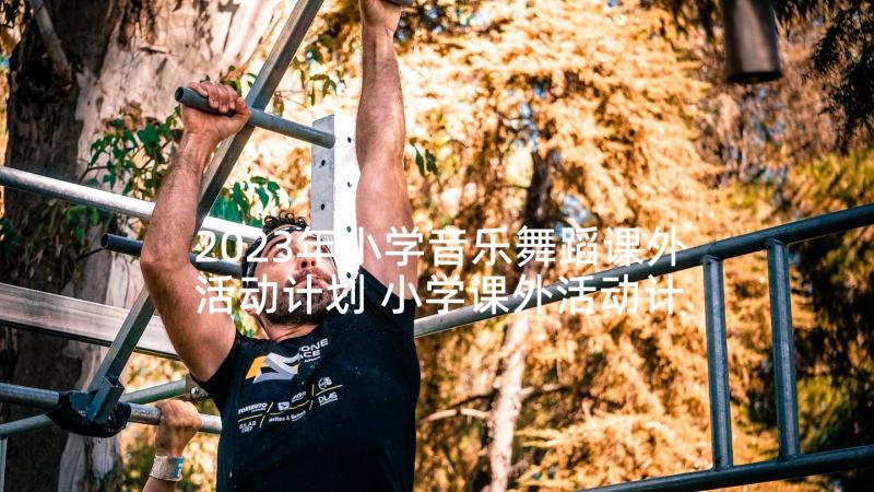 2023年小学音乐舞蹈课外活动计划 小学课外活动计划(优质9篇)