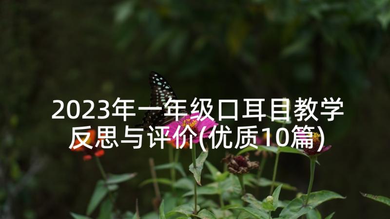 2023年一年级口耳目教学反思与评价(优质10篇)