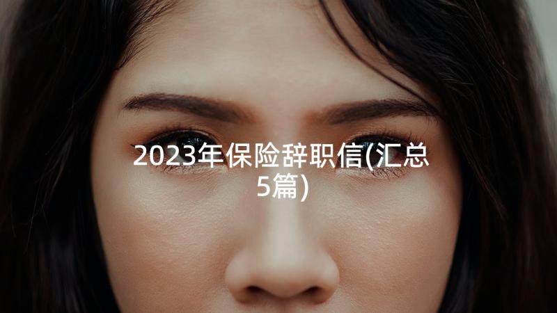 2023年保险辞职信(汇总5篇)