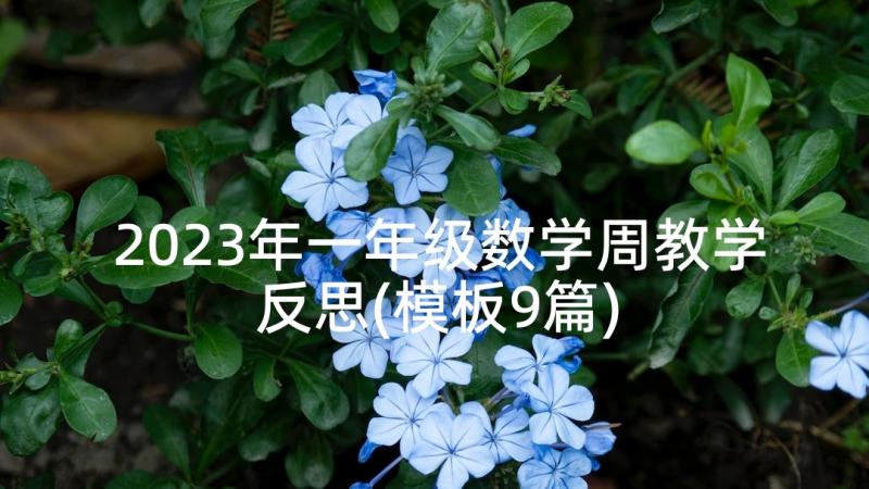 2023年一年级数学周教学反思(模板9篇)