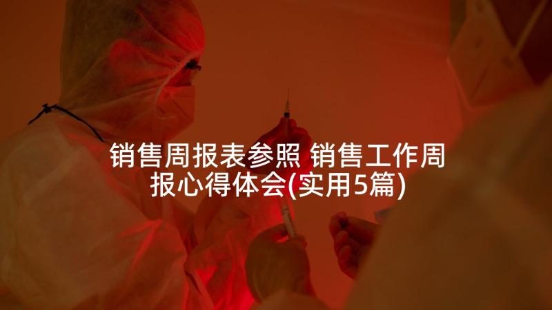 销售周报表参照 销售工作周报心得体会(实用5篇)