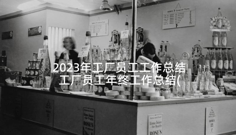 2023年工厂员工工作总结 工厂员工年终工作总结(通用5篇)