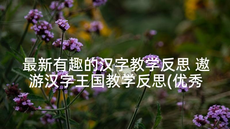 最新有趣的汉字教学反思 遨游汉字王国教学反思(优秀8篇)