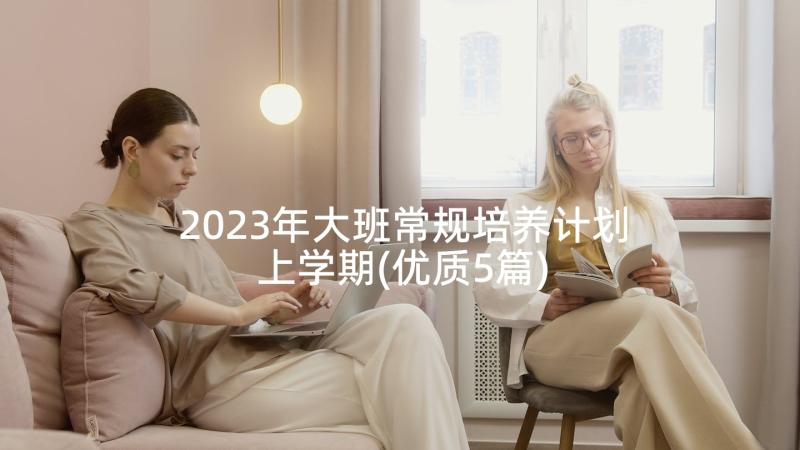 2023年大班常规培养计划上学期(优质5篇)