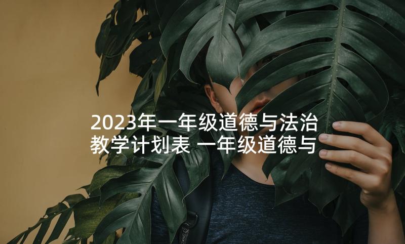 2023年一年级道德与法治教学计划表 一年级道德与法治教学计划(汇总5篇)