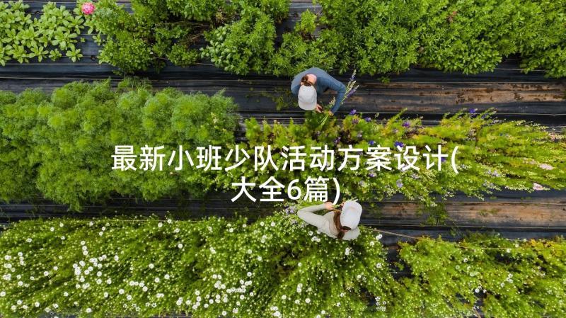 最新小班少队活动方案设计(大全6篇)