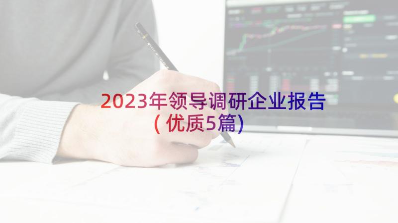 2023年领导调研企业报告(优质5篇)