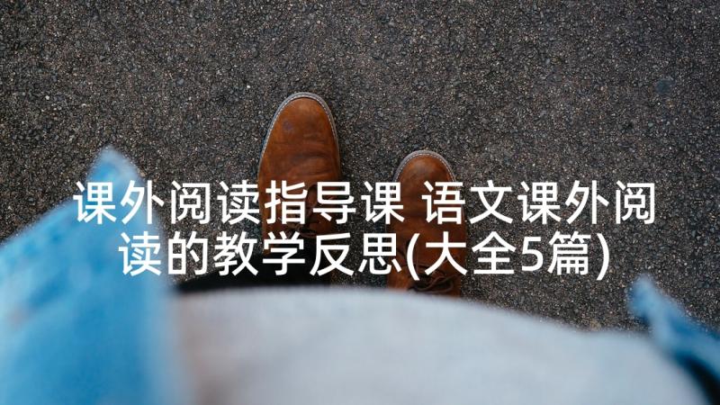 课外阅读指导课 语文课外阅读的教学反思(大全5篇)