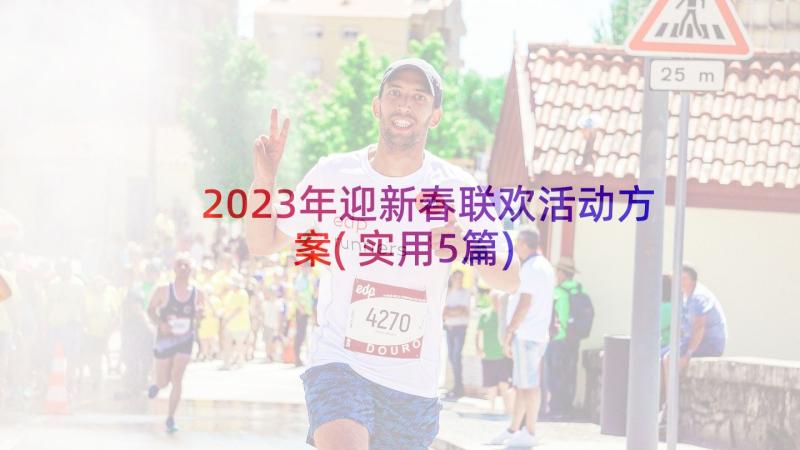 2023年迎新春联欢活动方案(实用5篇)