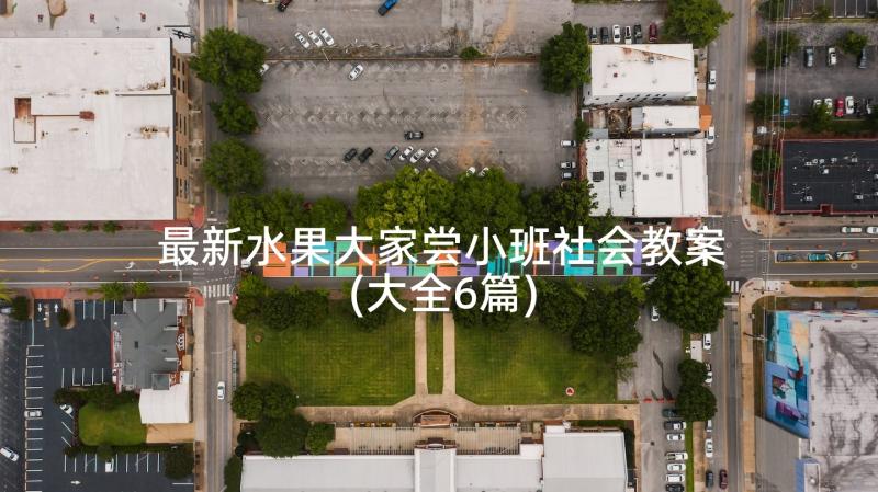 最新水果大家尝小班社会教案(大全6篇)