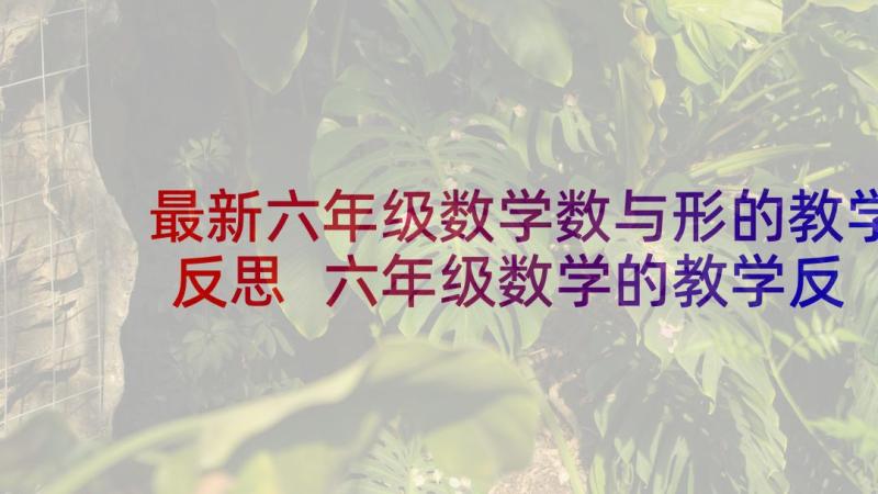 最新六年级数学数与形的教学反思 六年级数学的教学反思(通用10篇)