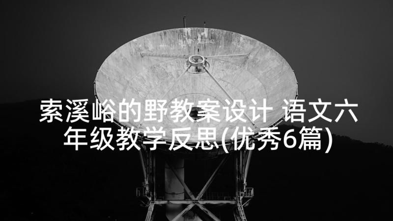 索溪峪的野教案设计 语文六年级教学反思(优秀6篇)