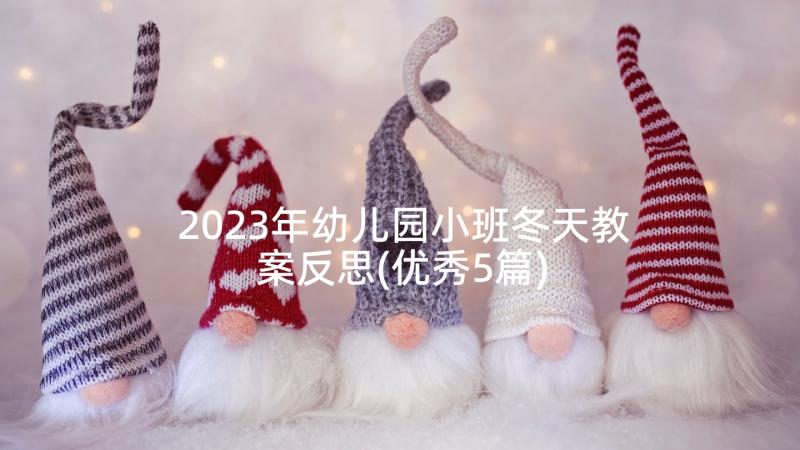 2023年幼儿园小班冬天教案反思(优秀5篇)