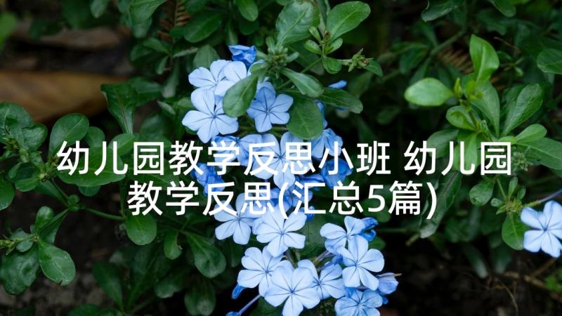 幼儿园教学反思小班 幼儿园教学反思(汇总5篇)