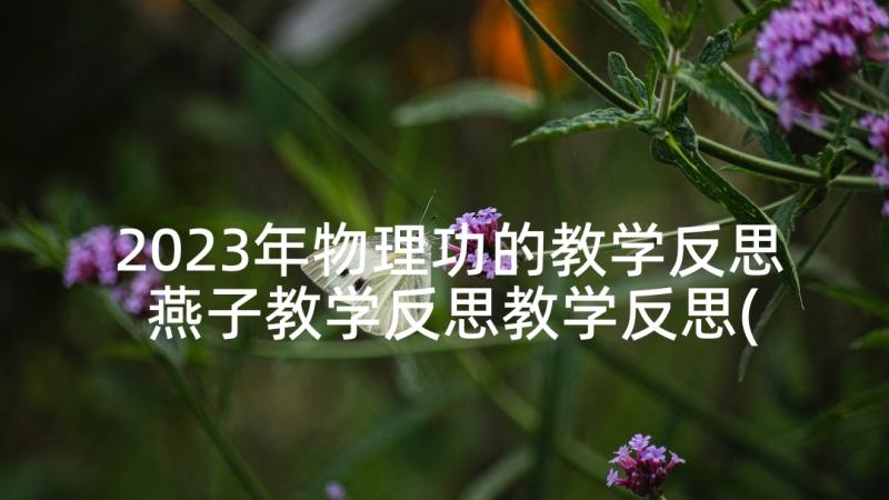 2023年物理功的教学反思 燕子教学反思教学反思(汇总9篇)