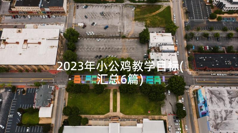 2023年小公鸡教学目标(汇总6篇)