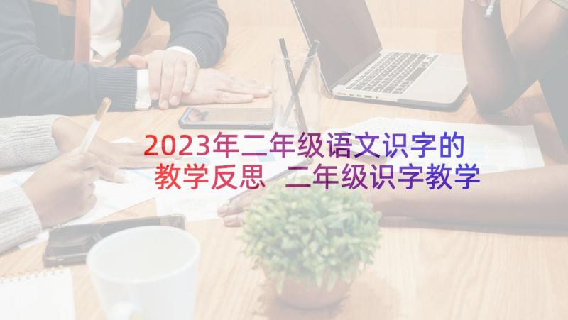 2023年二年级语文识字的教学反思 二年级识字教学反思(优秀5篇)