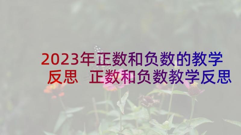 2023年正数和负数的教学反思 正数和负数教学反思(精选10篇)