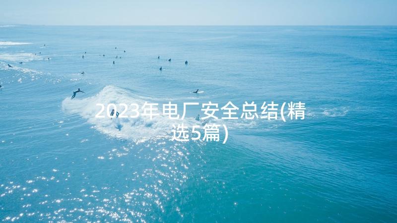 2023年电厂安全总结(精选5篇)