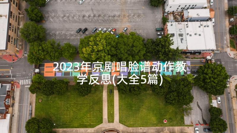 2023年京剧唱脸谱动作教学反思(大全5篇)