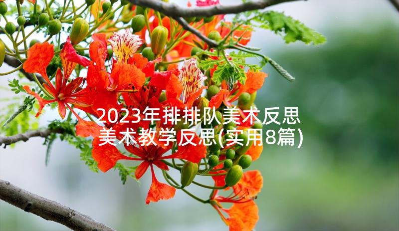 2023年排排队美术反思 美术教学反思(实用8篇)