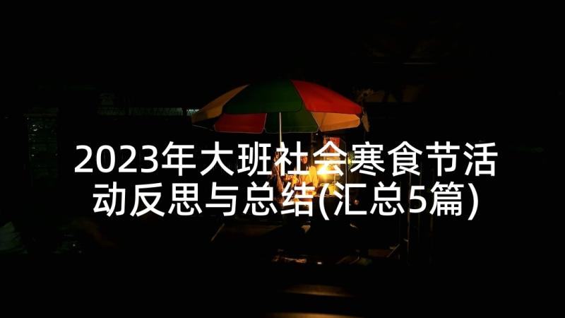 2023年大班社会寒食节活动反思与总结(汇总5篇)